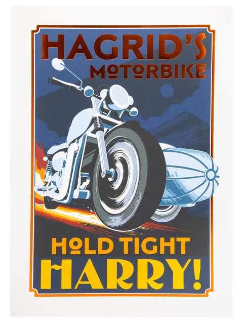 Funko Hagrid's Motorbike Print