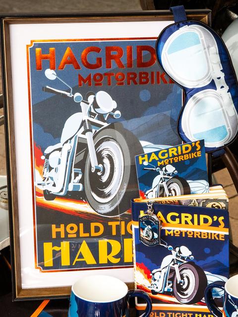 Funko Hagrid's Motorbike Print