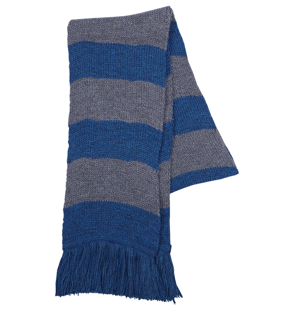 Funko Ravenclaw Wide Stripe Scarf from Lochaven