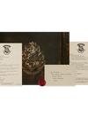 Funko Personalized Hogwarts Acceptance Letter